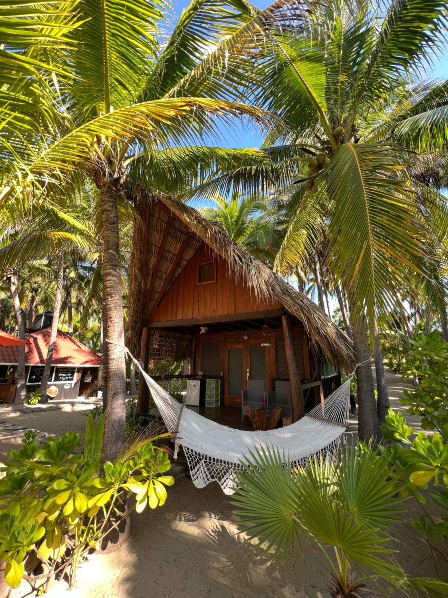 Bungalows Tree Tops - Adults Only Сіуатанехо Екстер'єр фото